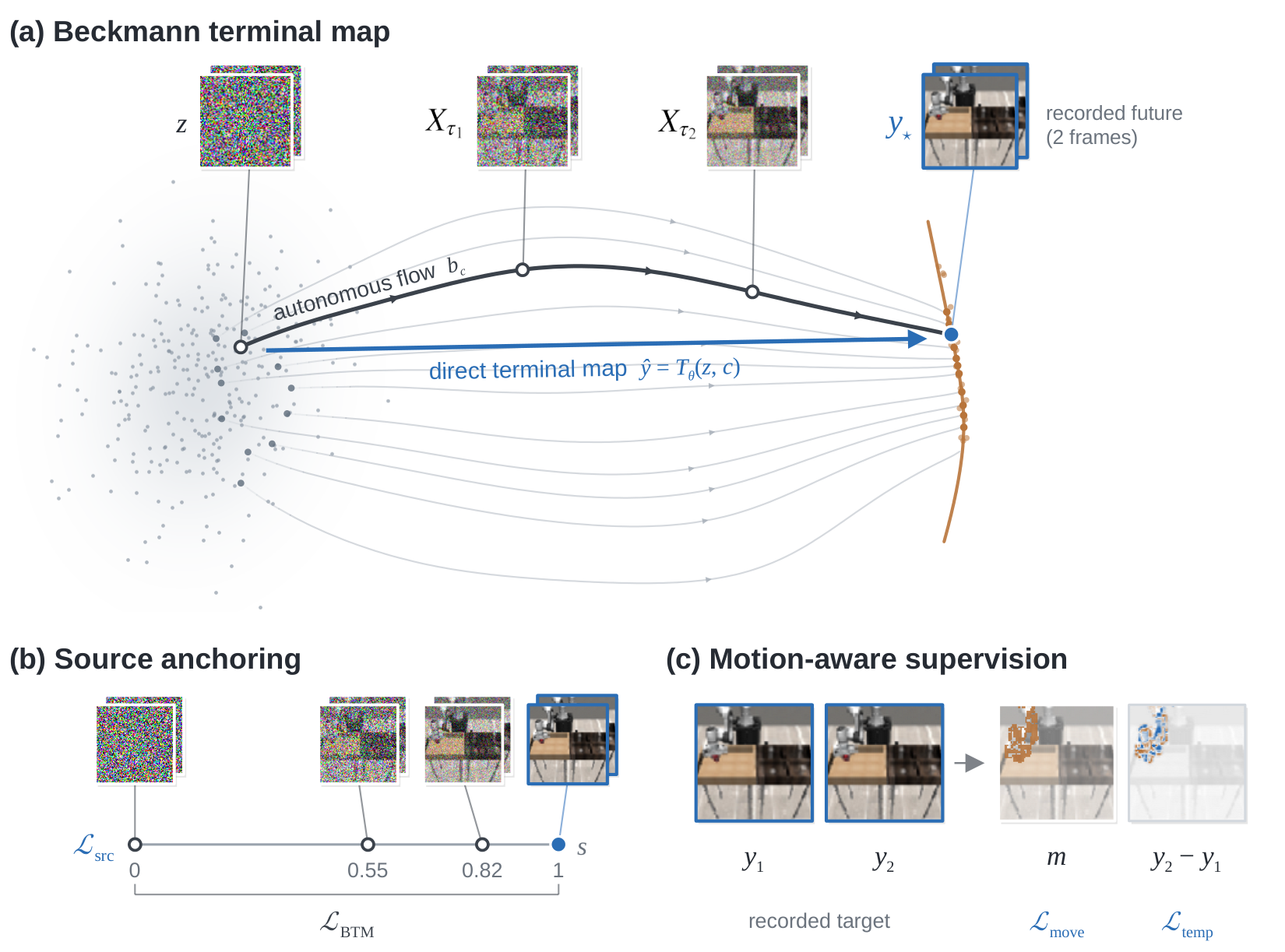 Conditional Beckmann terminal-map conservation, source supervision, and motion and temporal losses
